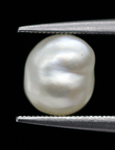 Nucleus natural basra - no,