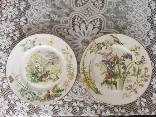 Plates the country - the, of