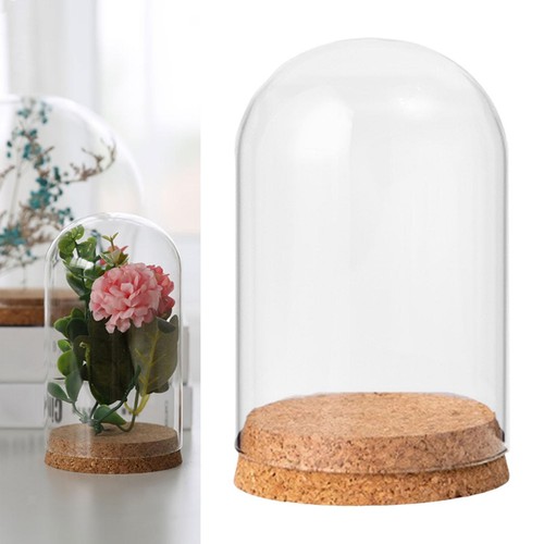 Cloche bell jar - jar, display