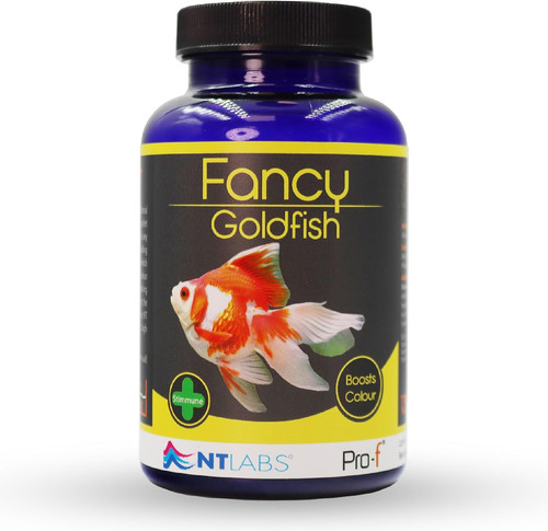 Pro fancy goldfish - pro-f,