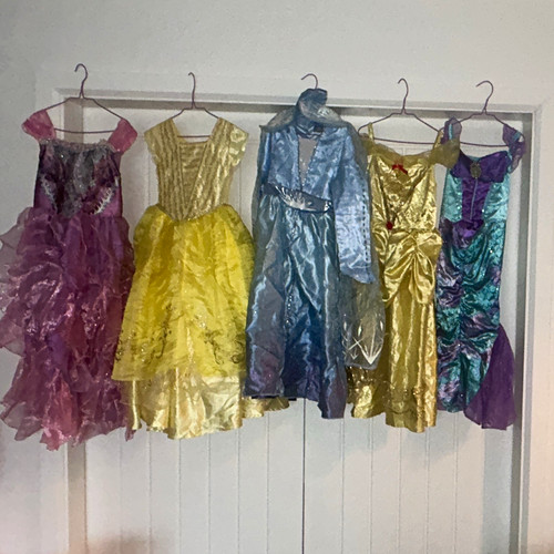 Disney princess dress costume - ,