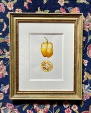 Original Watercolour Painting