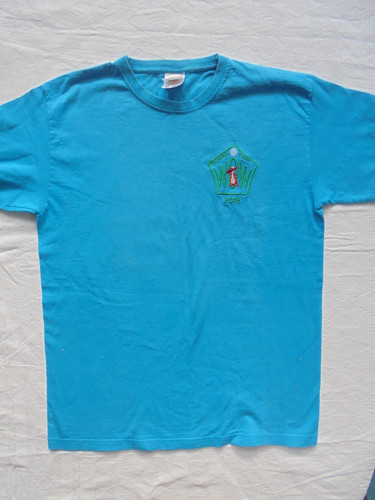 Girl guides guiding shirt - t,