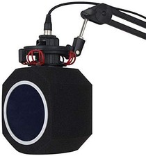 Professional Microphone Wind