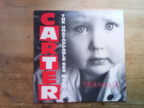 Carter usm sheltered life - carter,
