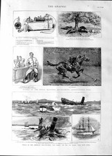 Original Old Antique Print 1888 American Mail Steamer Ship San Pablo Phonograph