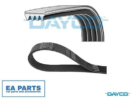Ribbed belts for - belts,