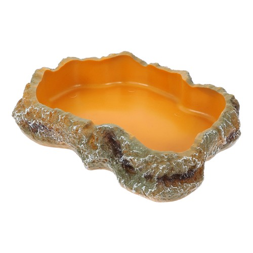 Terrarium food basin lizard - terrarium,