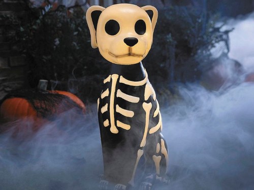 Skeleton dog blow - skeleton, 24