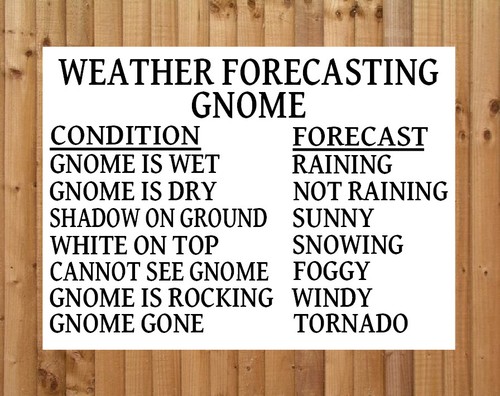 Weather forecasting gnome - weather,