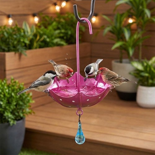 Colorful hanging bird - colorful,