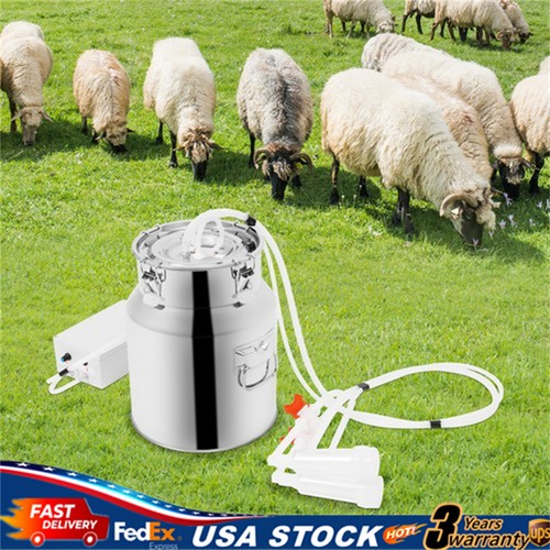 Electric cow milking - milking, machine