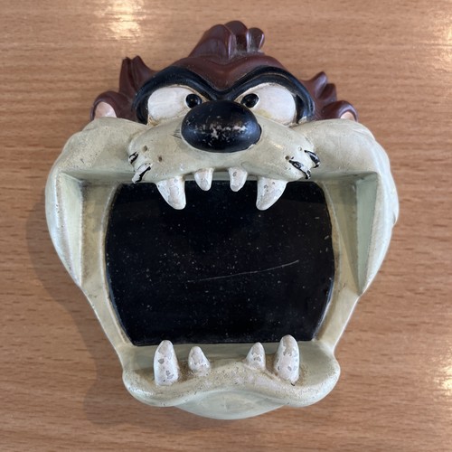Vintage warner brothers looney - brothers,
