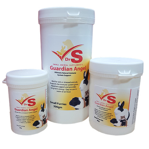 Drs guardian angel - angel, small