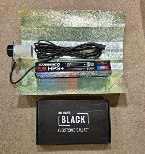 Lumii 600w electronic ballast - electronic,