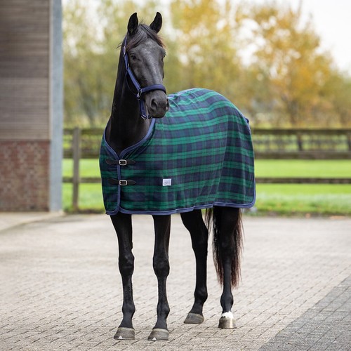 Qhp check wool horse rug - qhp,