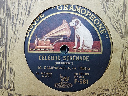 Campagnola celebre - m,