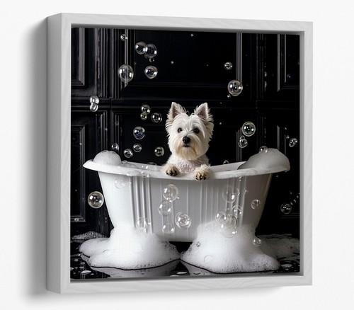 White westie dog bath - dog, in
