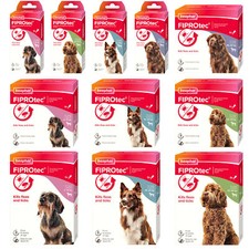 BEAPHAR FIPROtec SPOT ON FLEA