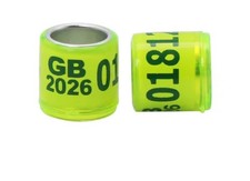 PACK OF 20 GB26 2026 UK PIGEON