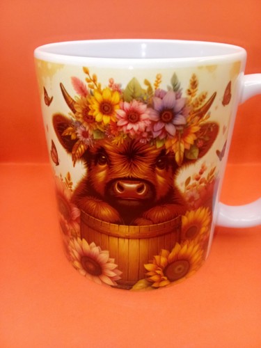 Cute highland cow - cute,