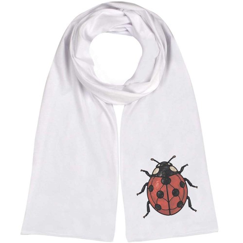 Ladybird insect lightweight - 'ladybird, insect'