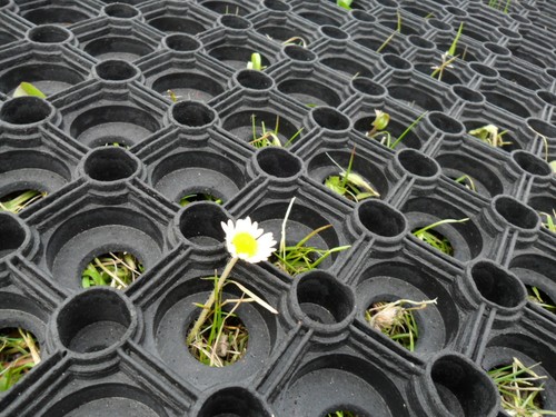 Gateway grass mat 1000mm - grass, x