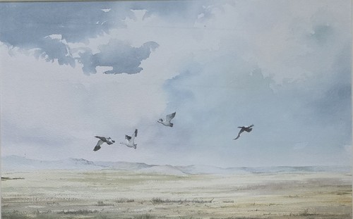 Large original signed framed - signed,