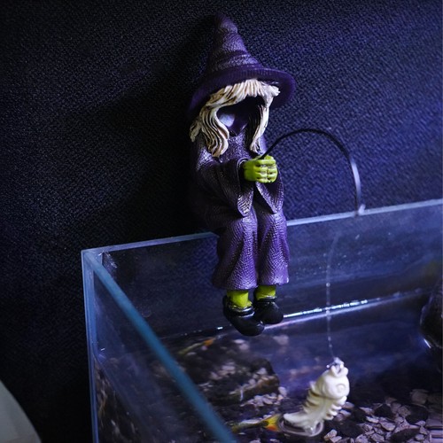 Betta sitting fishing witch - fishing,