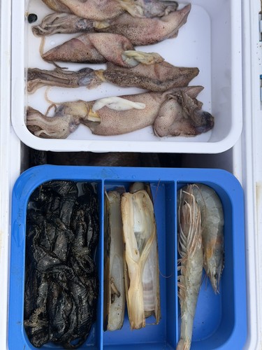 Seadra extra bait tray - seadra, with