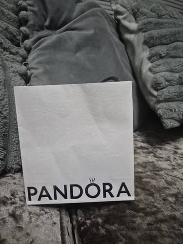 Pandora gift bag - gift,