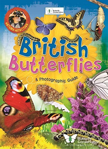 British butterflies munson - british, butterflies,