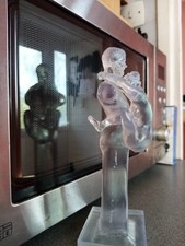 Translucent erotic nude