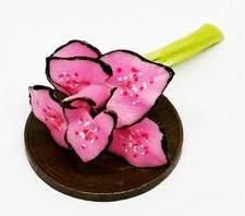 Dolls House Pink Beauty Plant