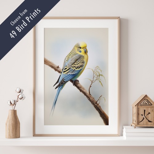 Wild bird print - print, british