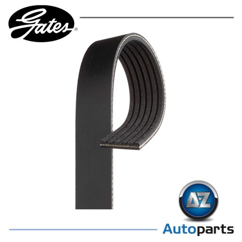 Rib ribbed belt 6pk1700 - 6,