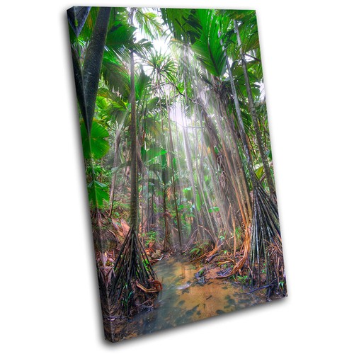 Forest sunshine landscapes - forest,