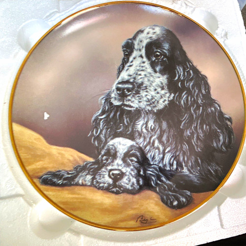 Danbury mint cocker spaniel - danbury,
