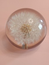Collectible Resin - HAFOD GRANGE Dandelion Clock Paperweight