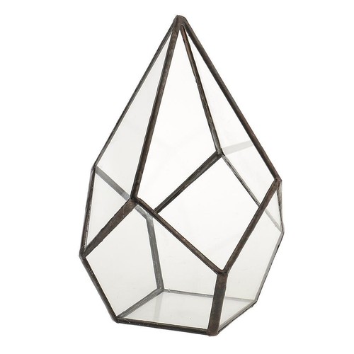 Home garden glass succulent - glass,