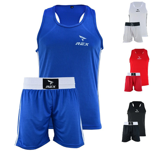 Rex mma fight - fight, grappling