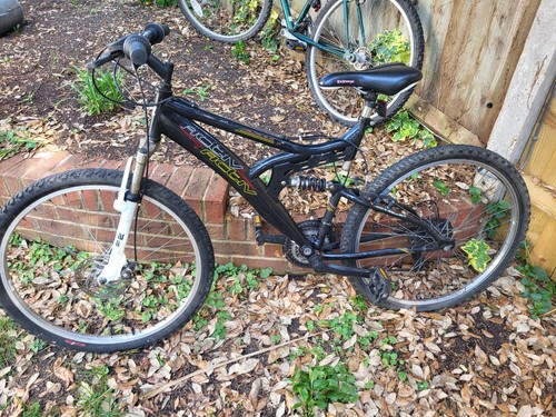 Raleigh patina mountain - raleigh,