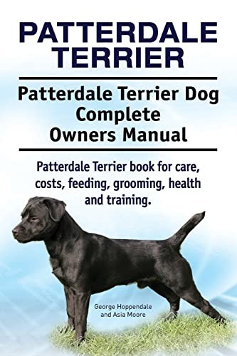Patterdale terrier - patterdale, terrier.