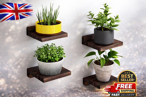Floating wall shelves pack - wall,