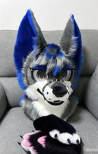 Fursuit Long haired Dog Fox