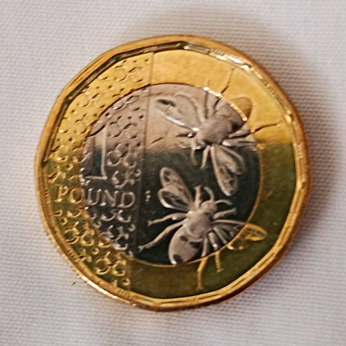 2019 one pound coin - coin,