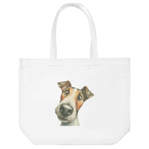 Fox terrier dog portrait - 'fox, portrait'