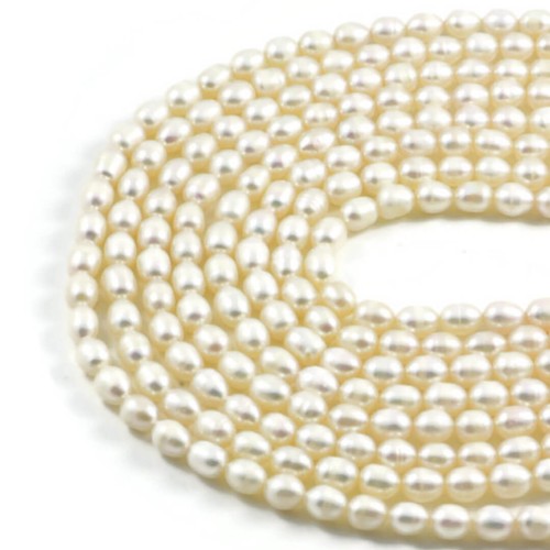 Freshwater pearl beads - beads, –