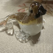 CIMC Home - Glass Walrus