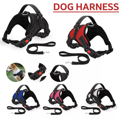 Dog harness pull for small - no,
